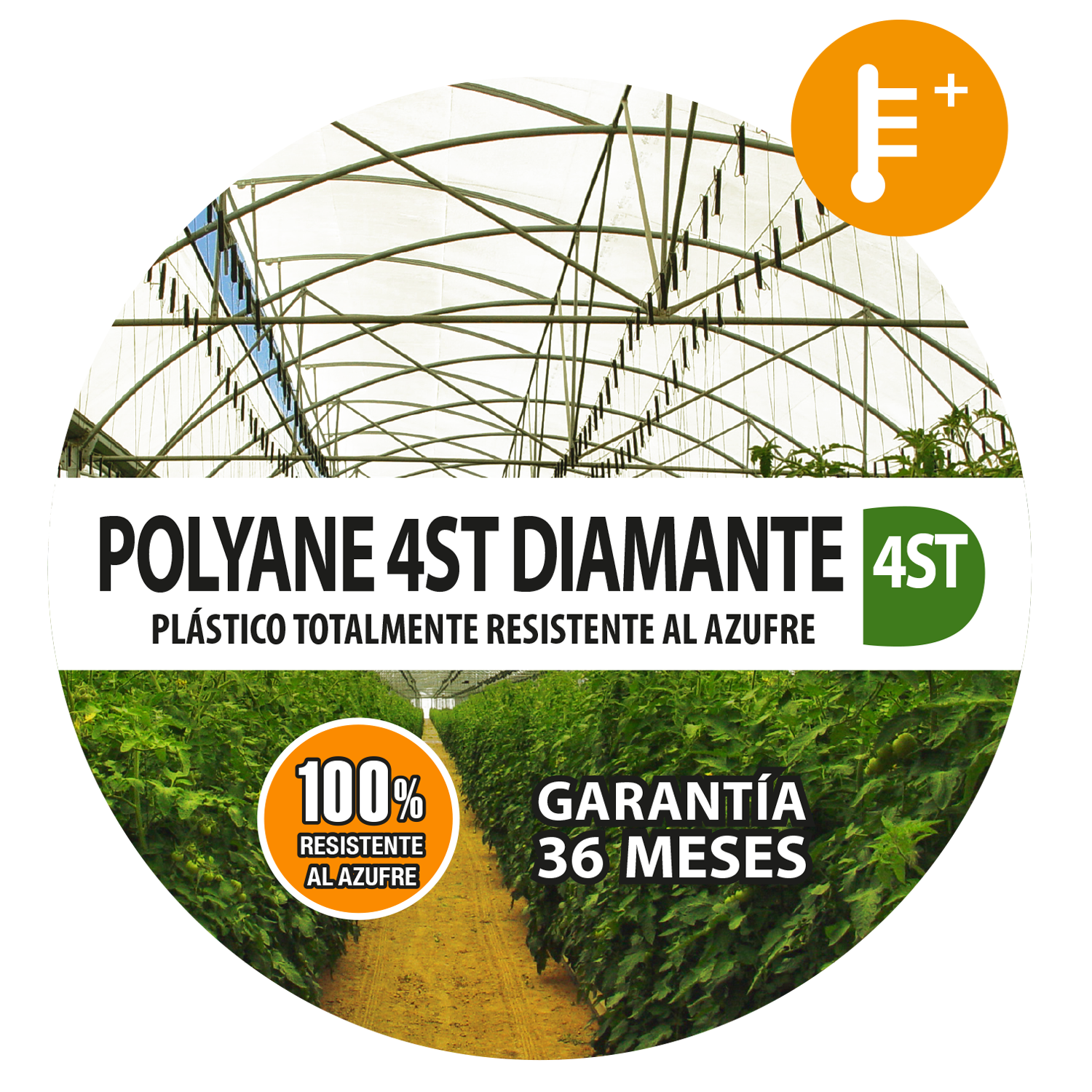 POLYANE 4ST DIAMANTE